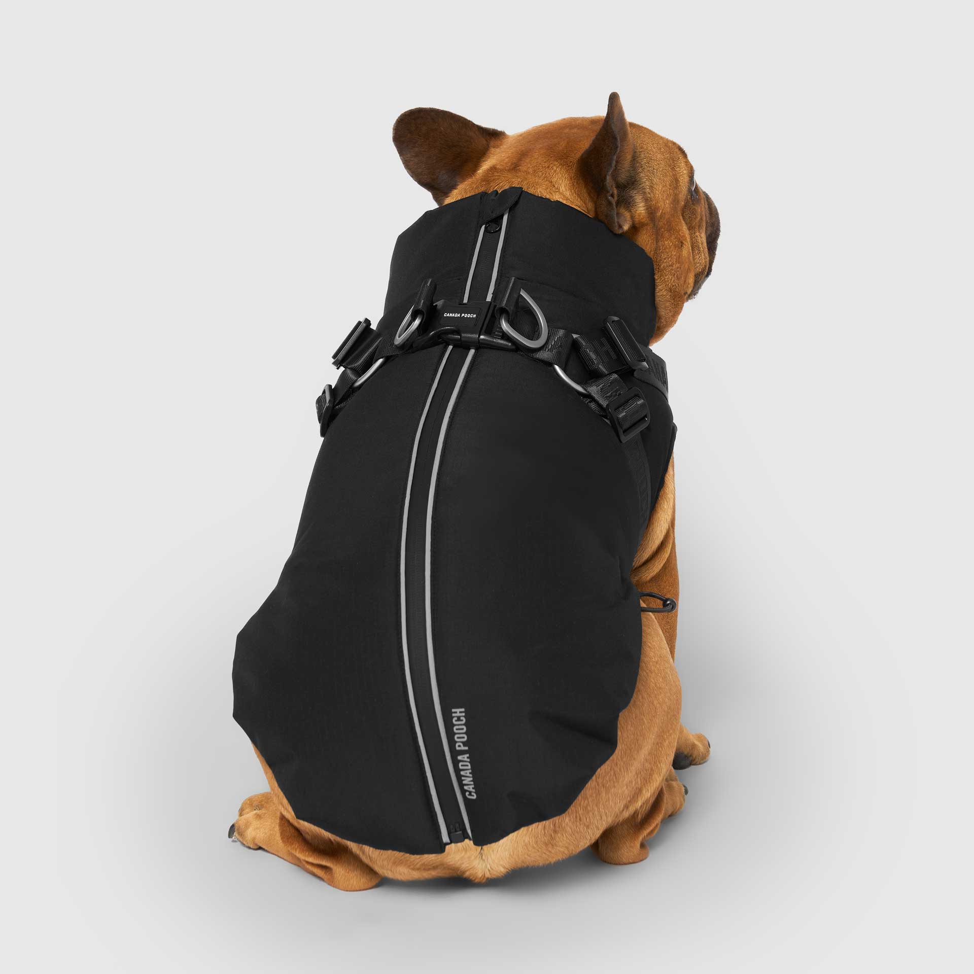 Complete Control Harness Winter Jacket