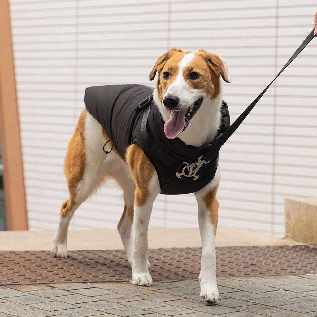 Complete Control Harness Winter Jacket