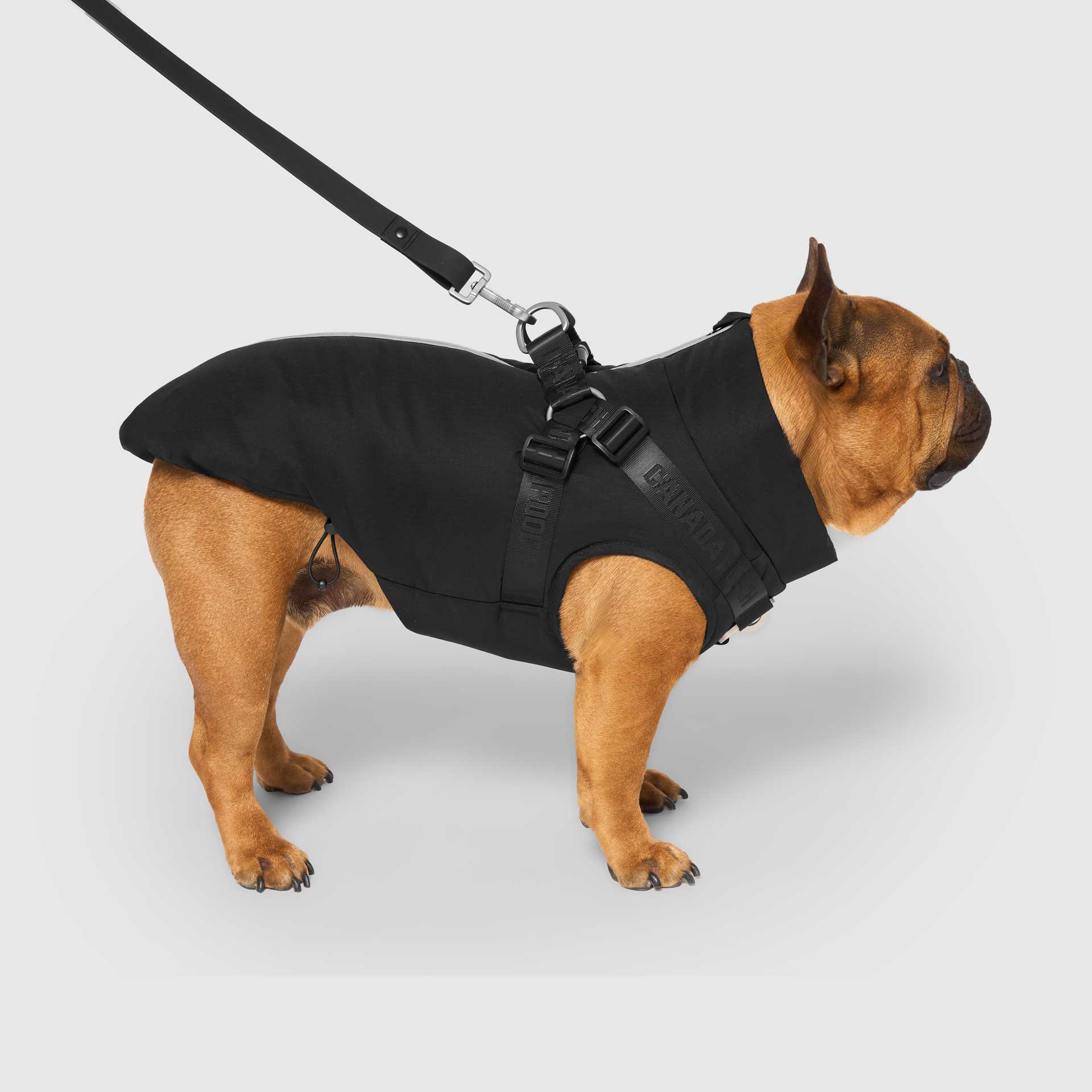 Complete Control Harness Winter Jacket