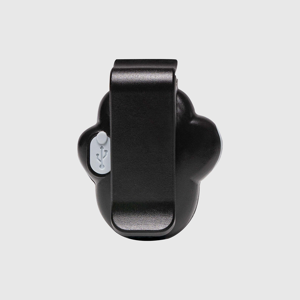 Dog Walking Safety Light
