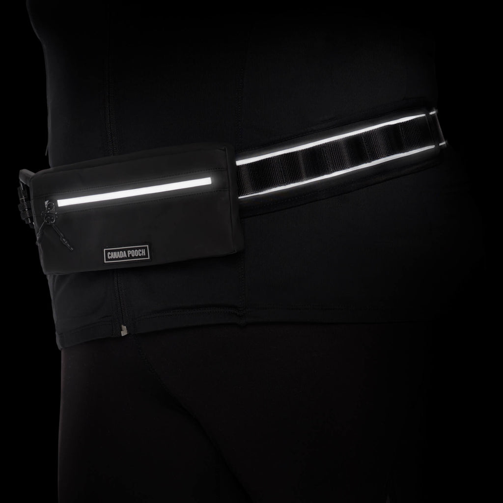 Handsfree Dog Walking Belt