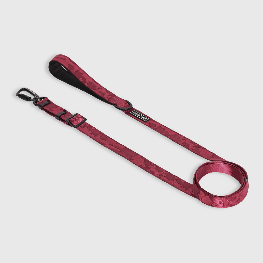 Utility Leash