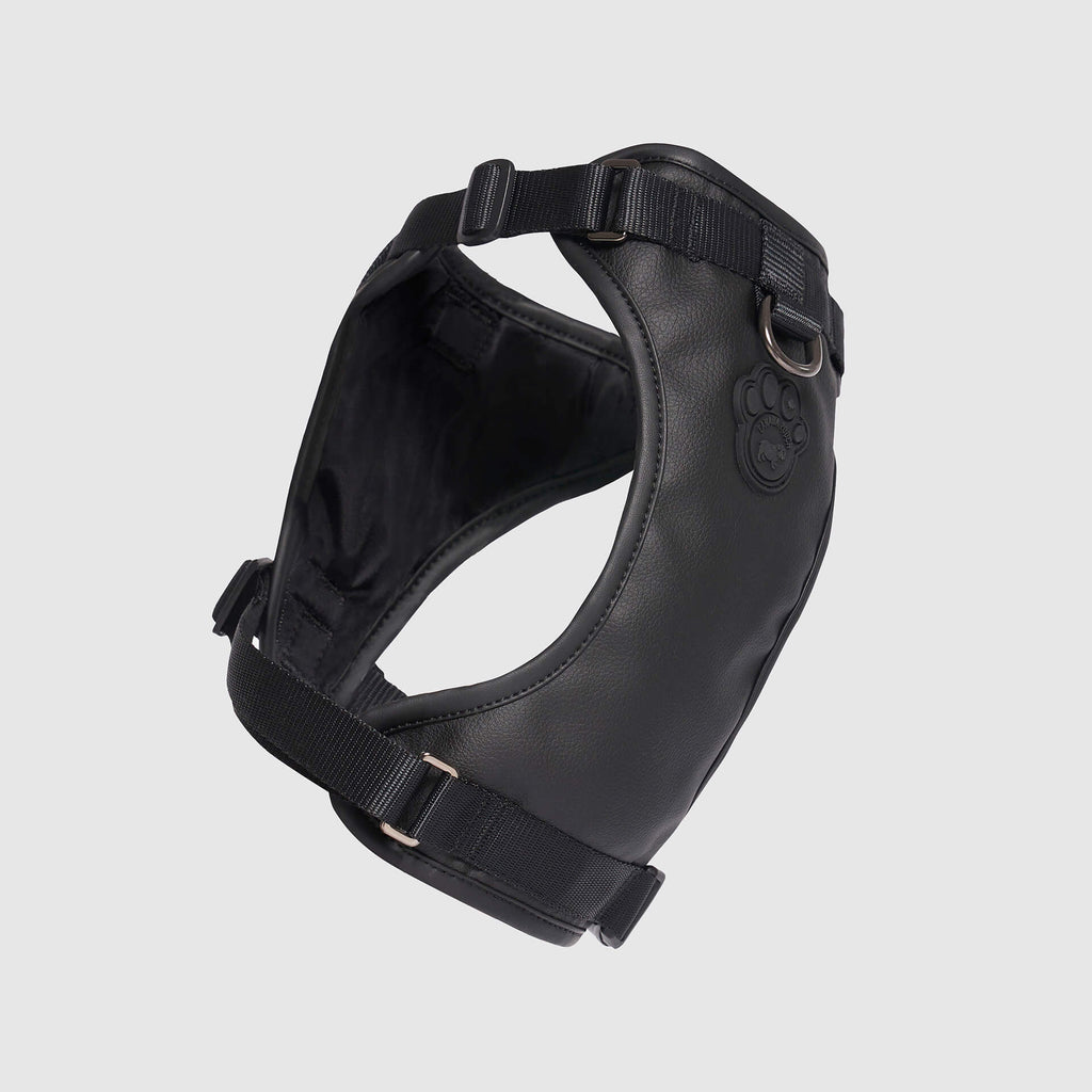 Eco+ Everything Harness