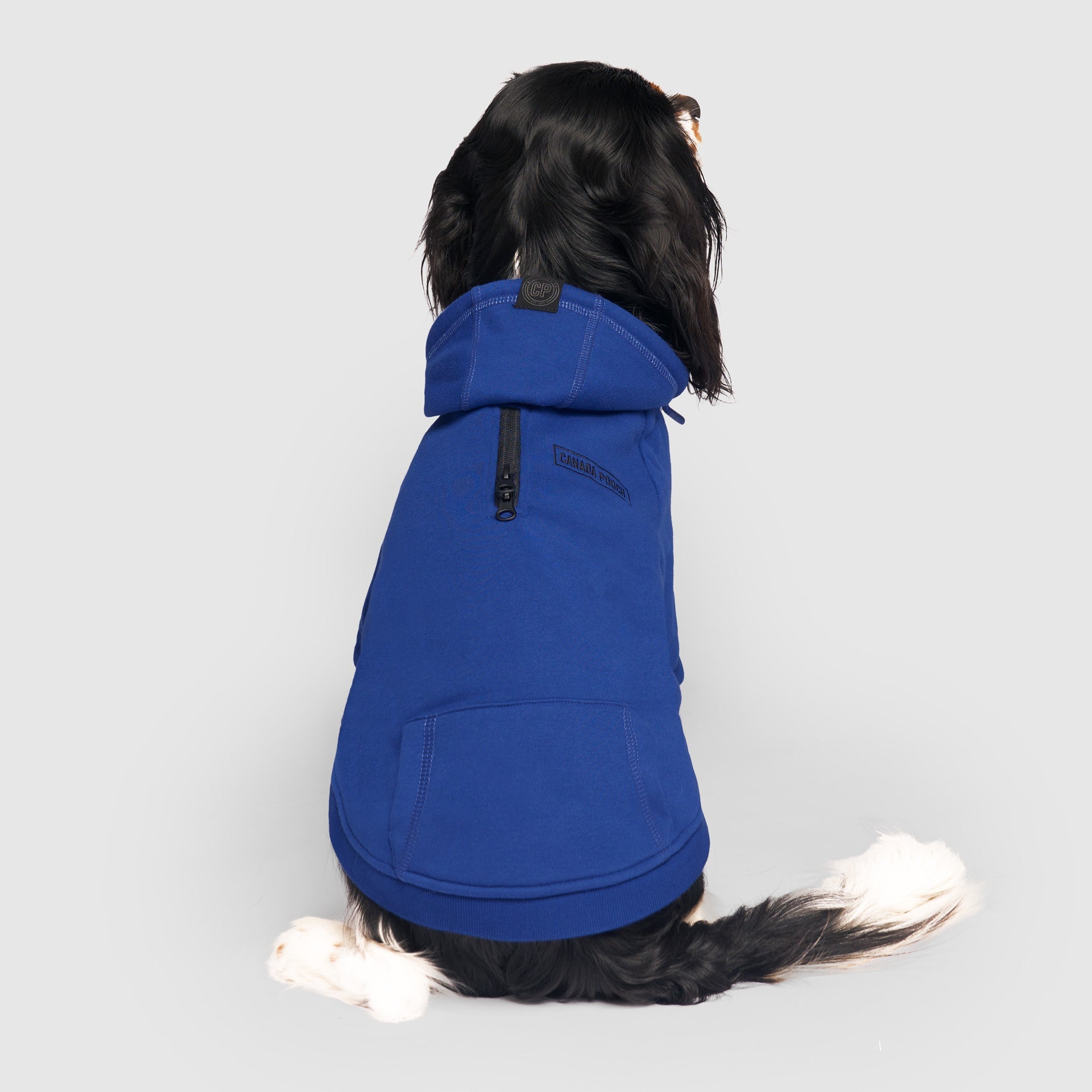 Eco+ Everyday Hoodie