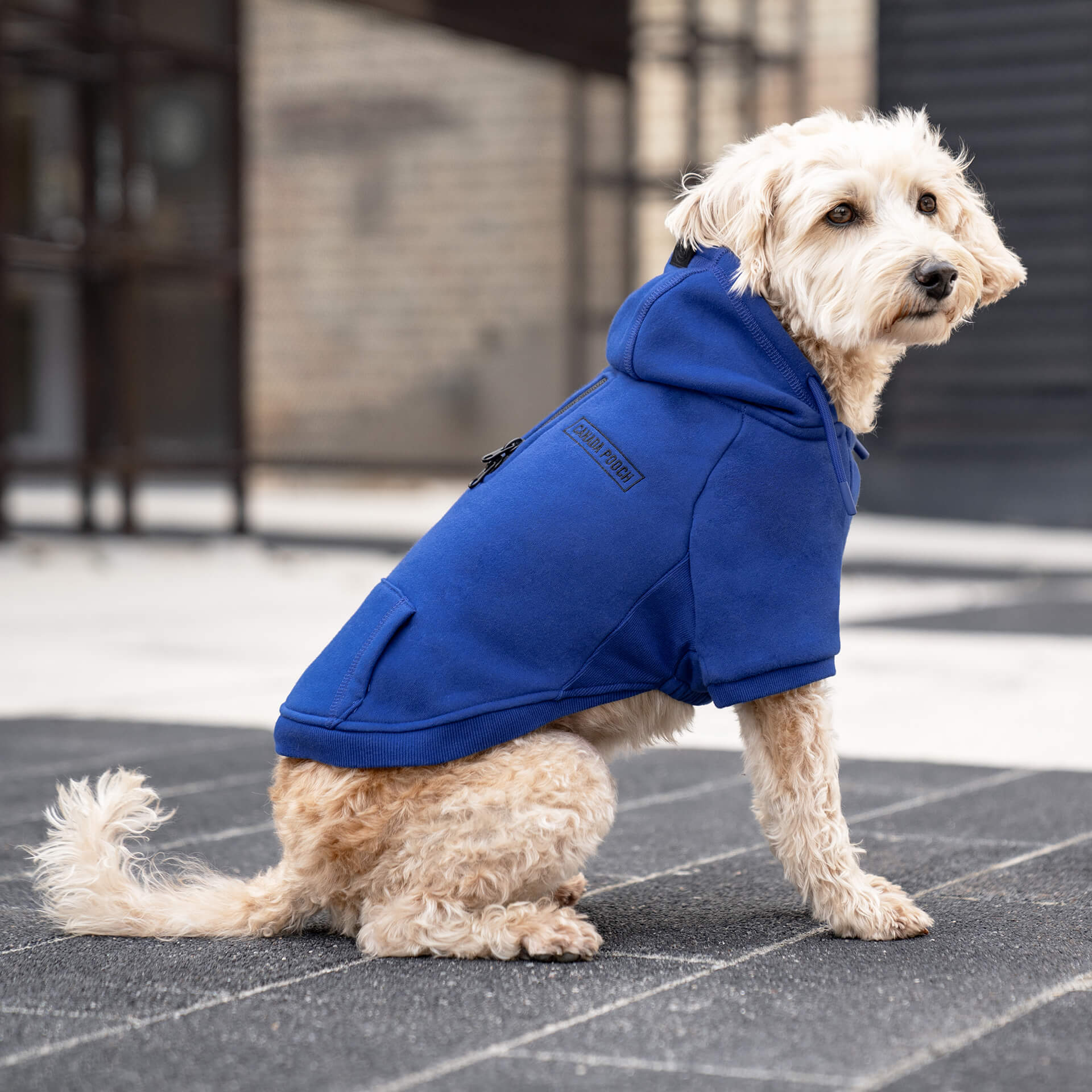 Eco+ Everyday Hoodie