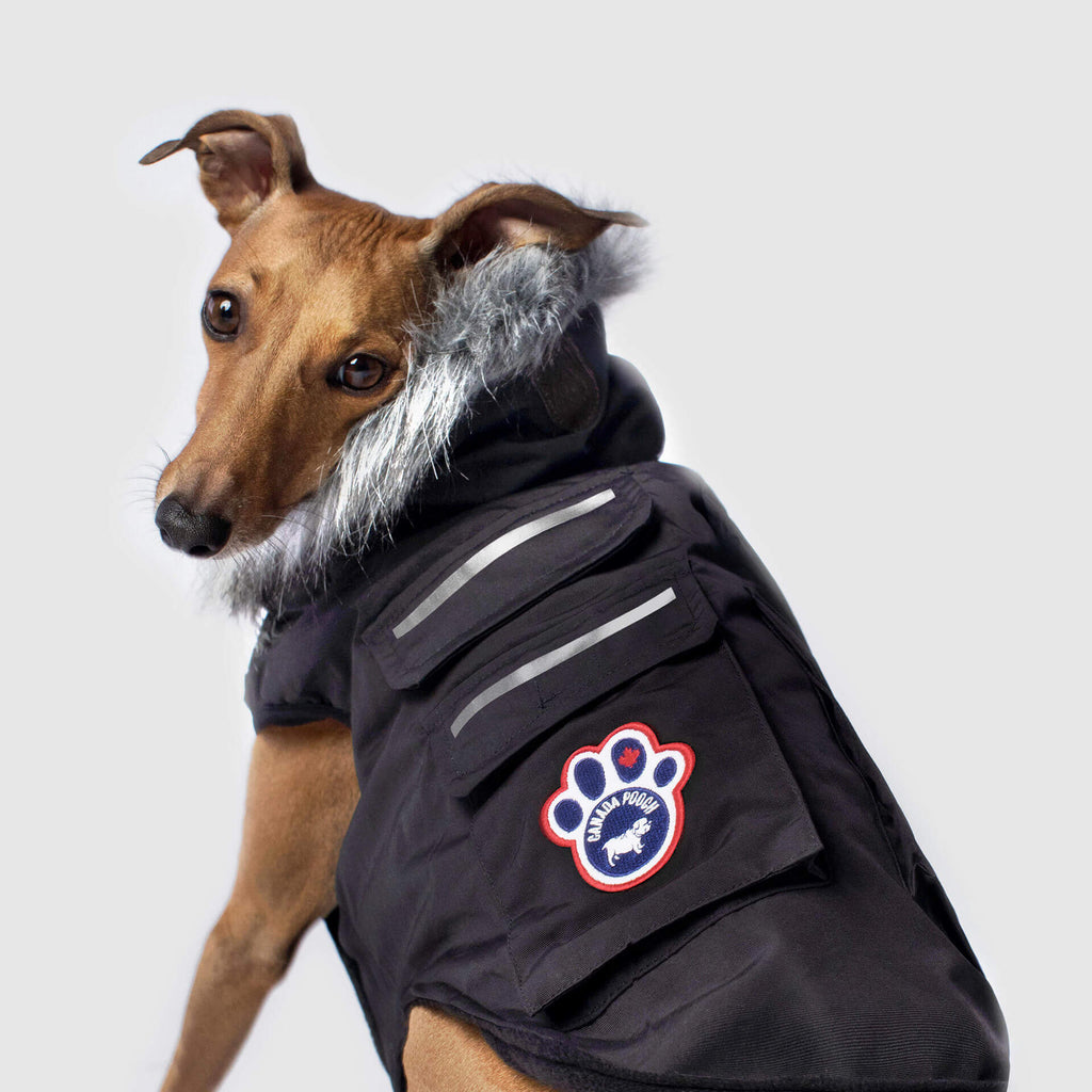 Everest Explorer Jacket