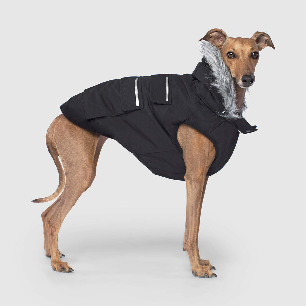 Everest Explorer Jacket