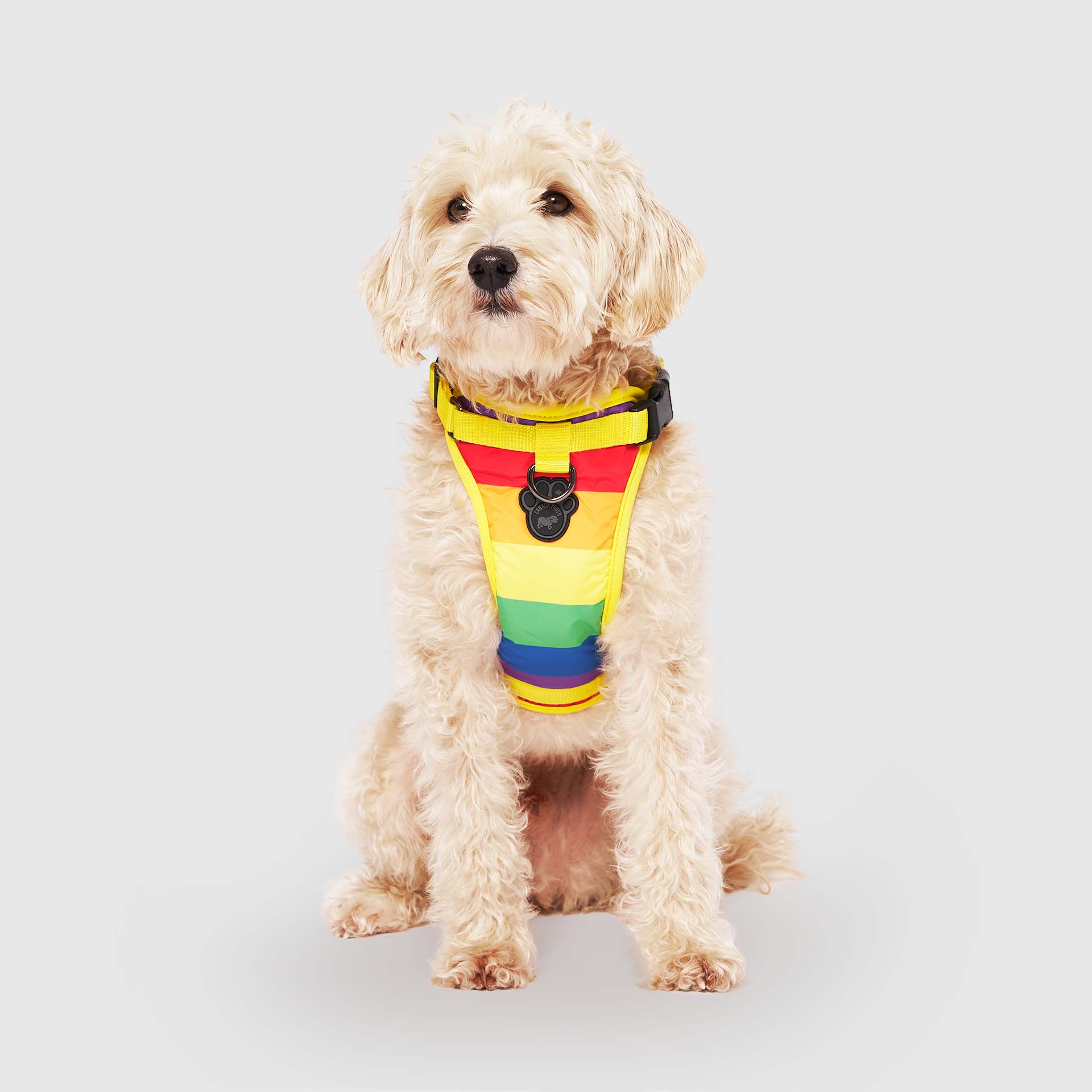 The Everything Harness Water-Resistant Series