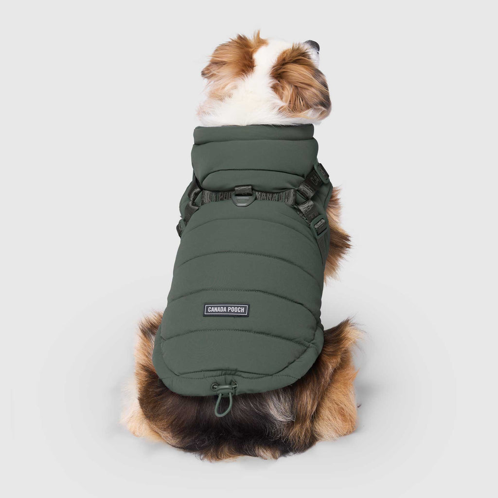 Harness Puffer