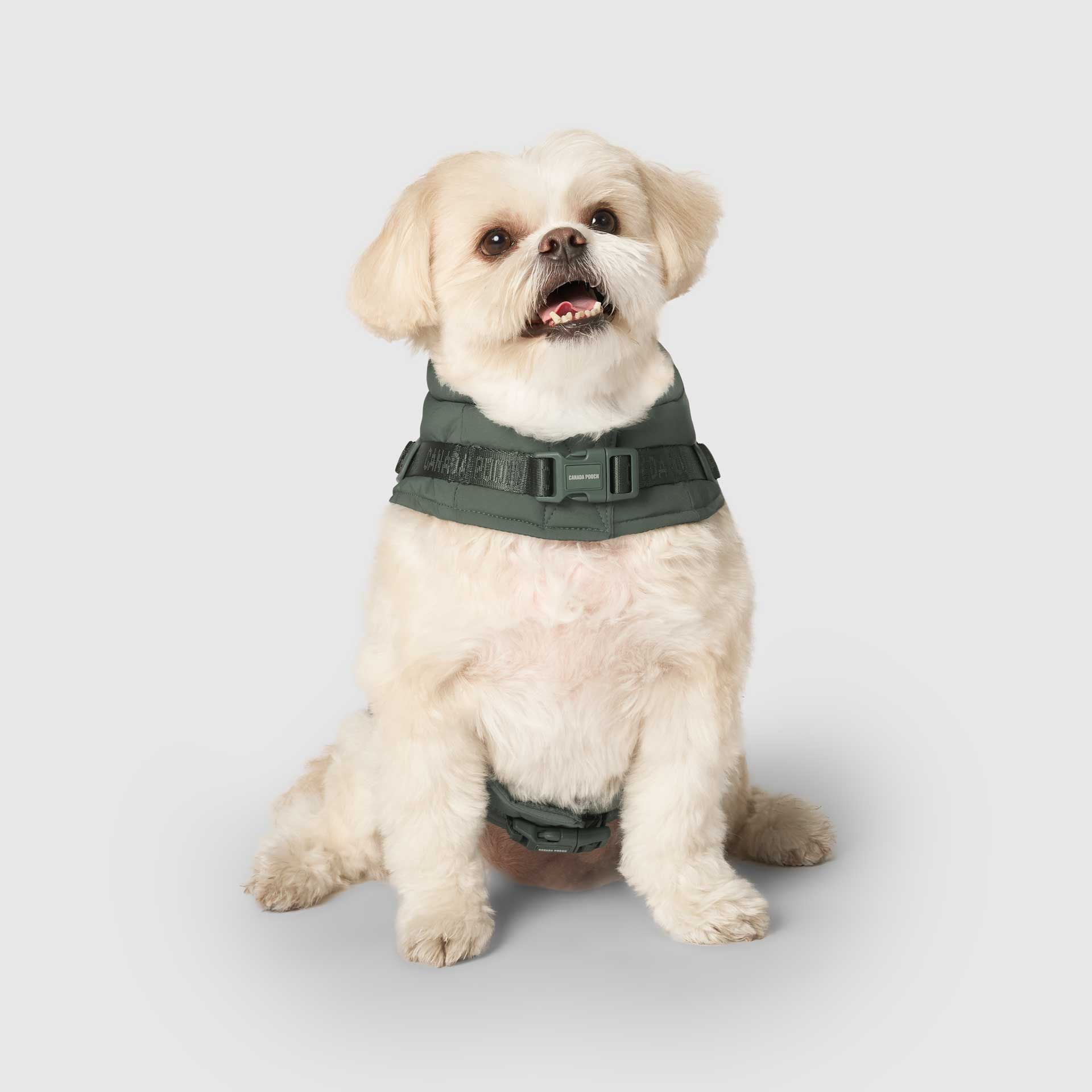 Harness Puffer