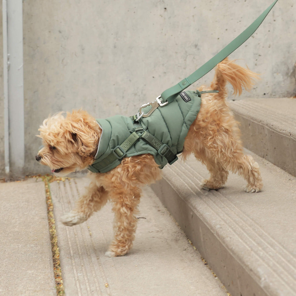 Harness Puffer