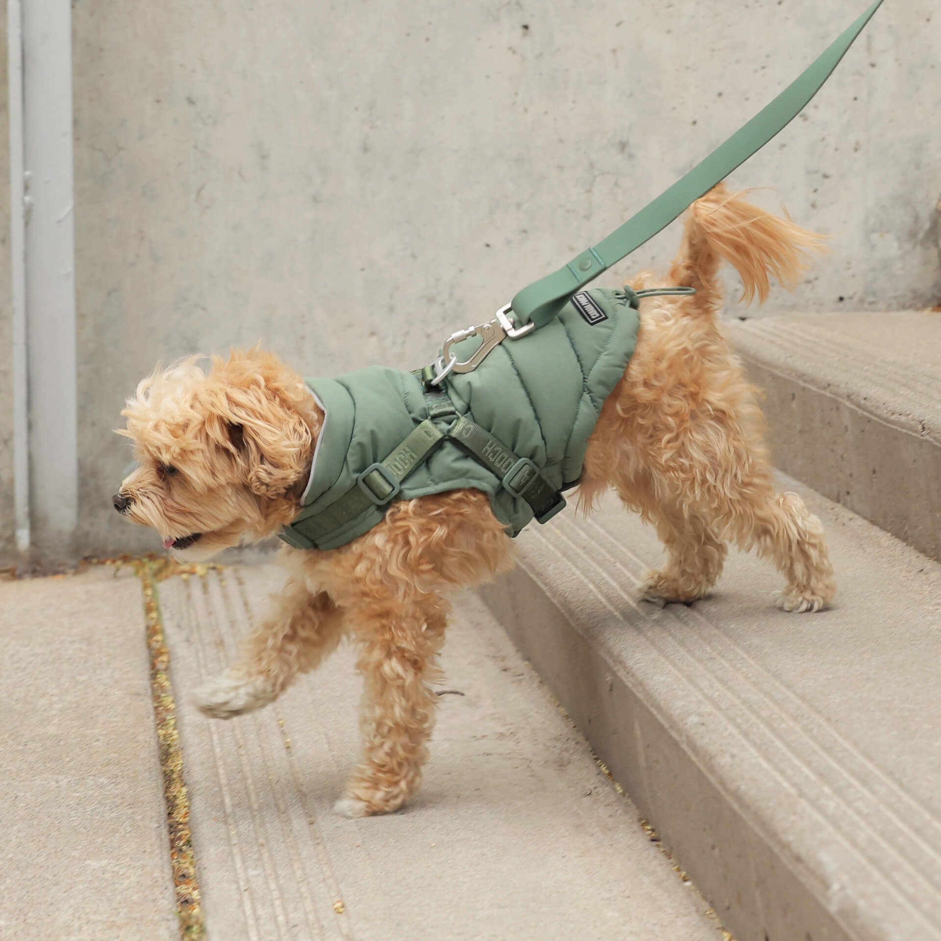 Harness Puffer