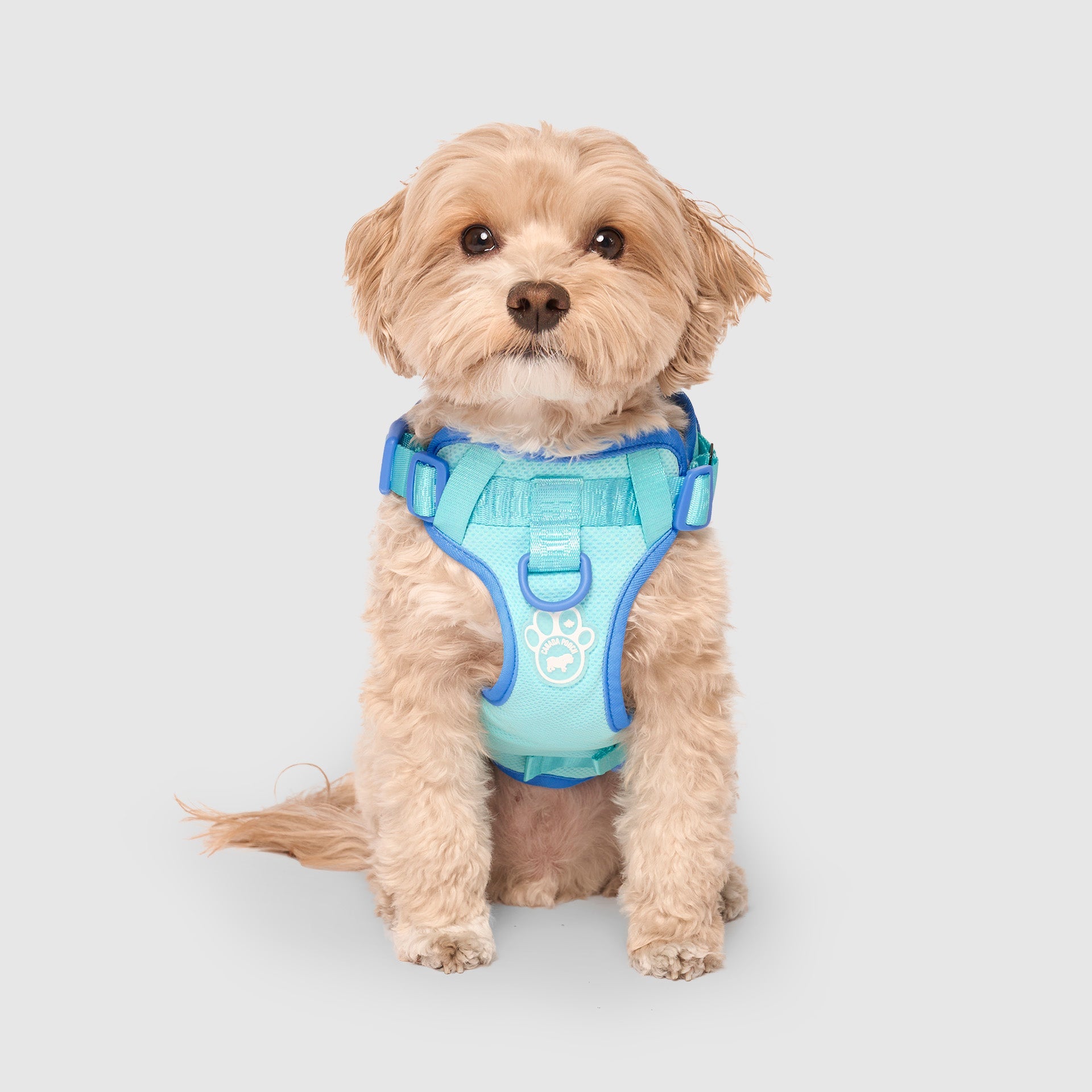 Max Chill Cooling Harness