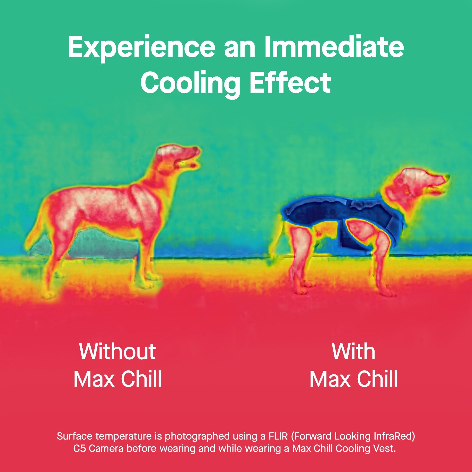 Max Chill Cooling Snood