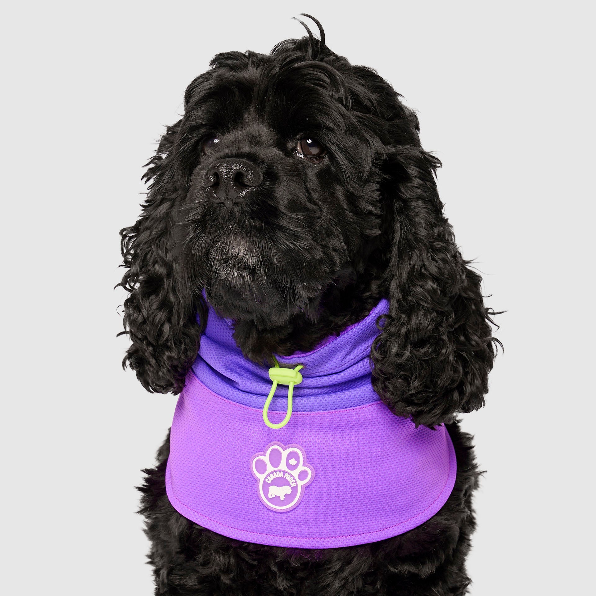 Max Chill Cooling Snood