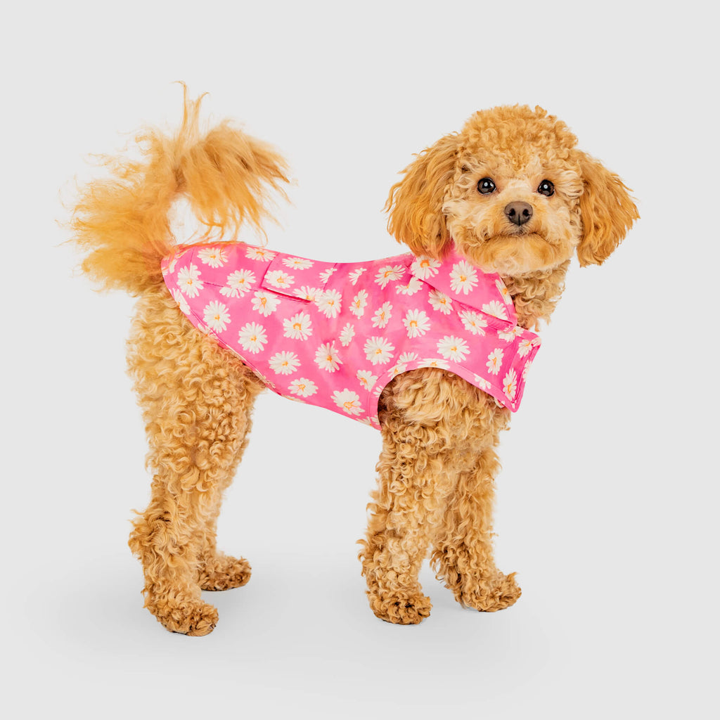 Pick Me Poncho