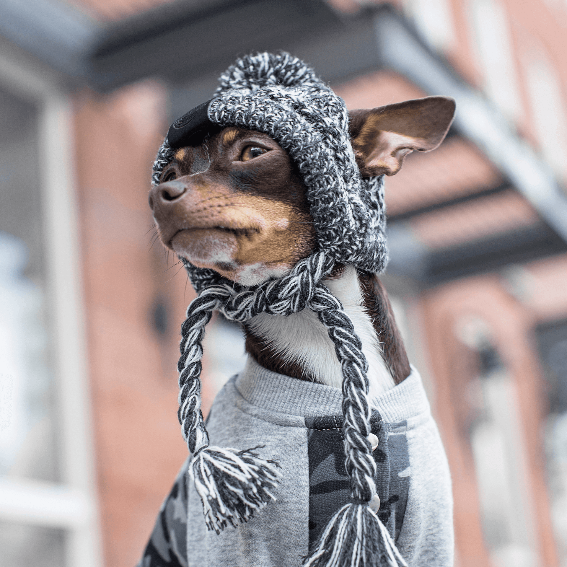 Polar Pom Pom Hat