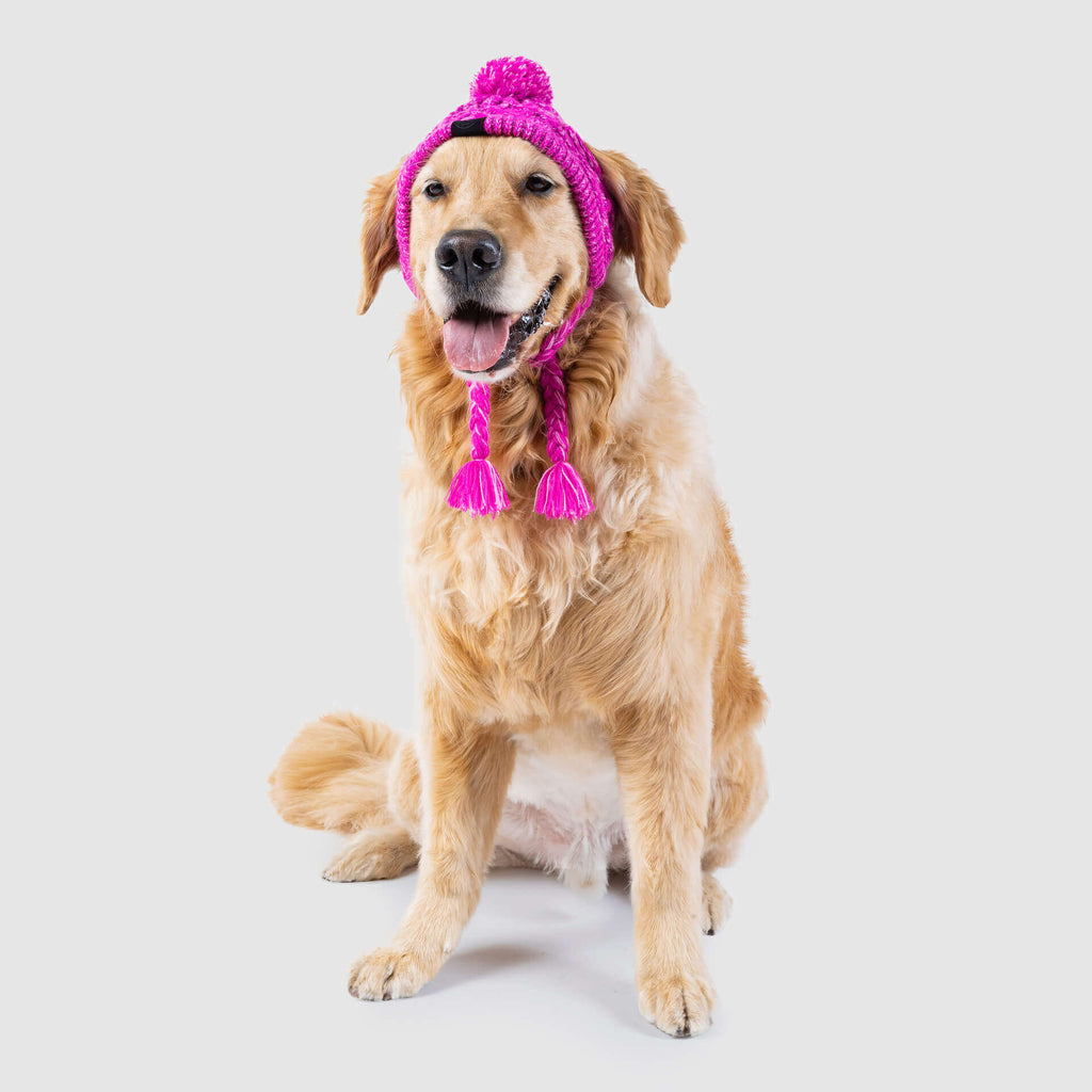 Polar Pom Pom Hat