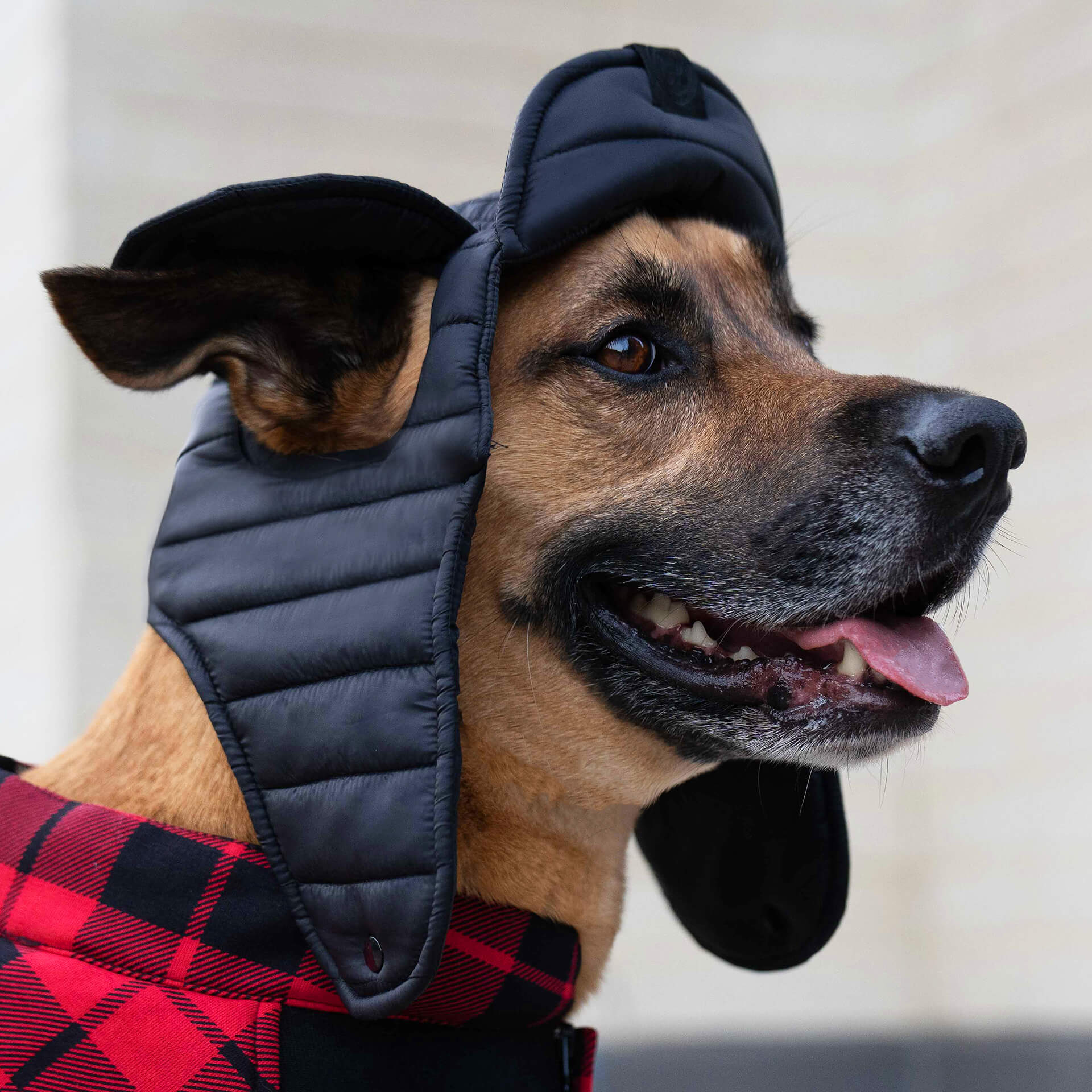 Puffer Hat