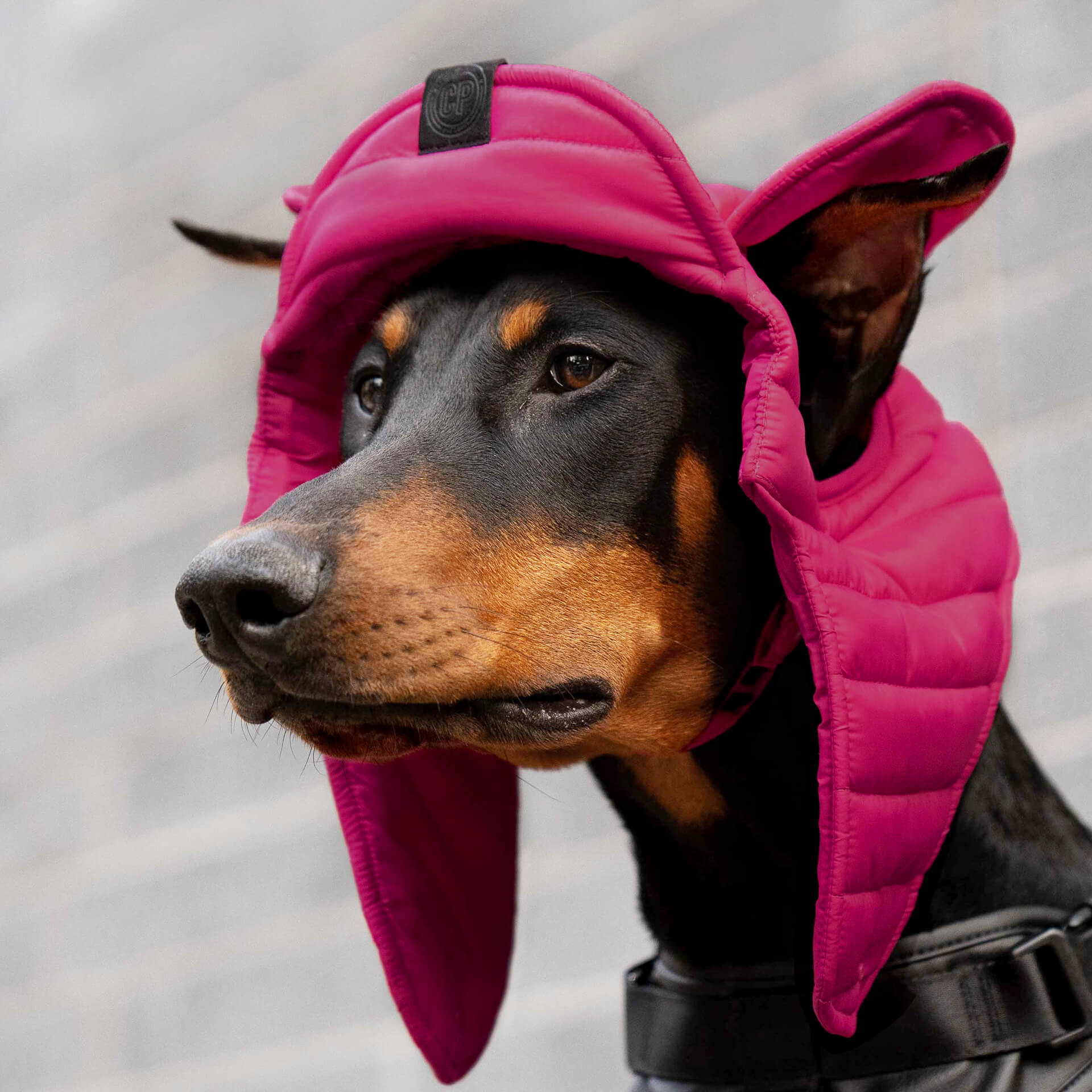 Puffer Hat