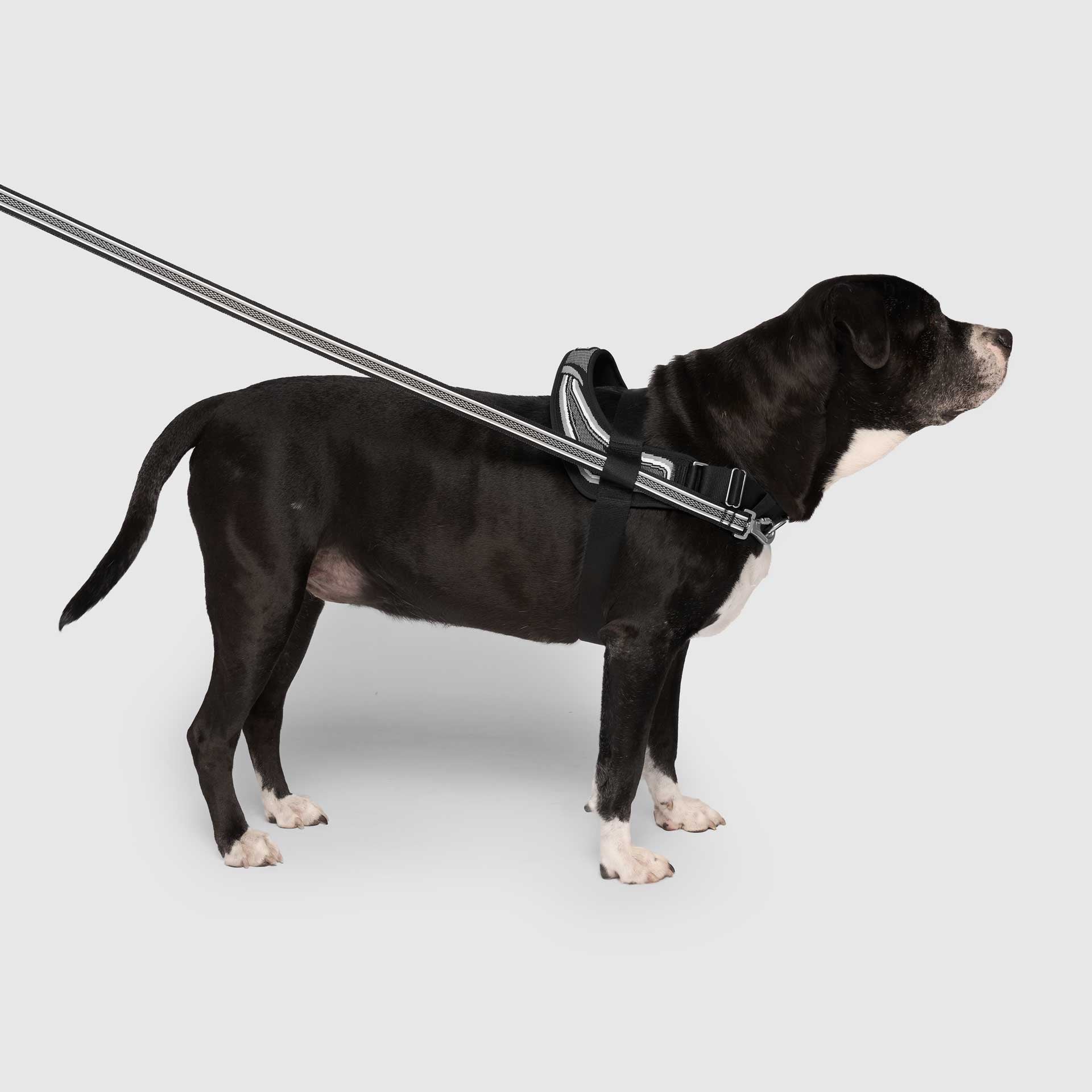 Re-Direct Harness