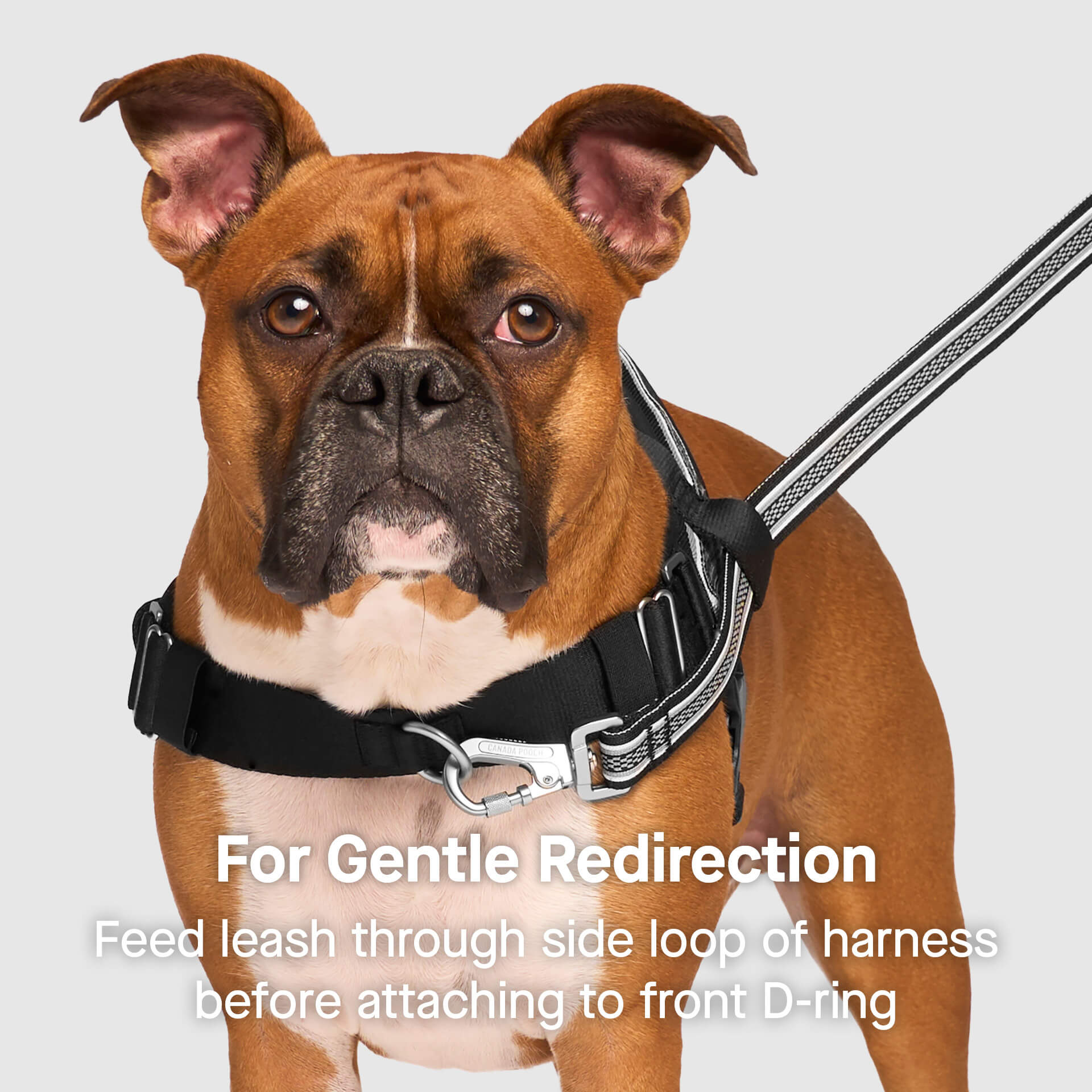 Re-Direct Harness