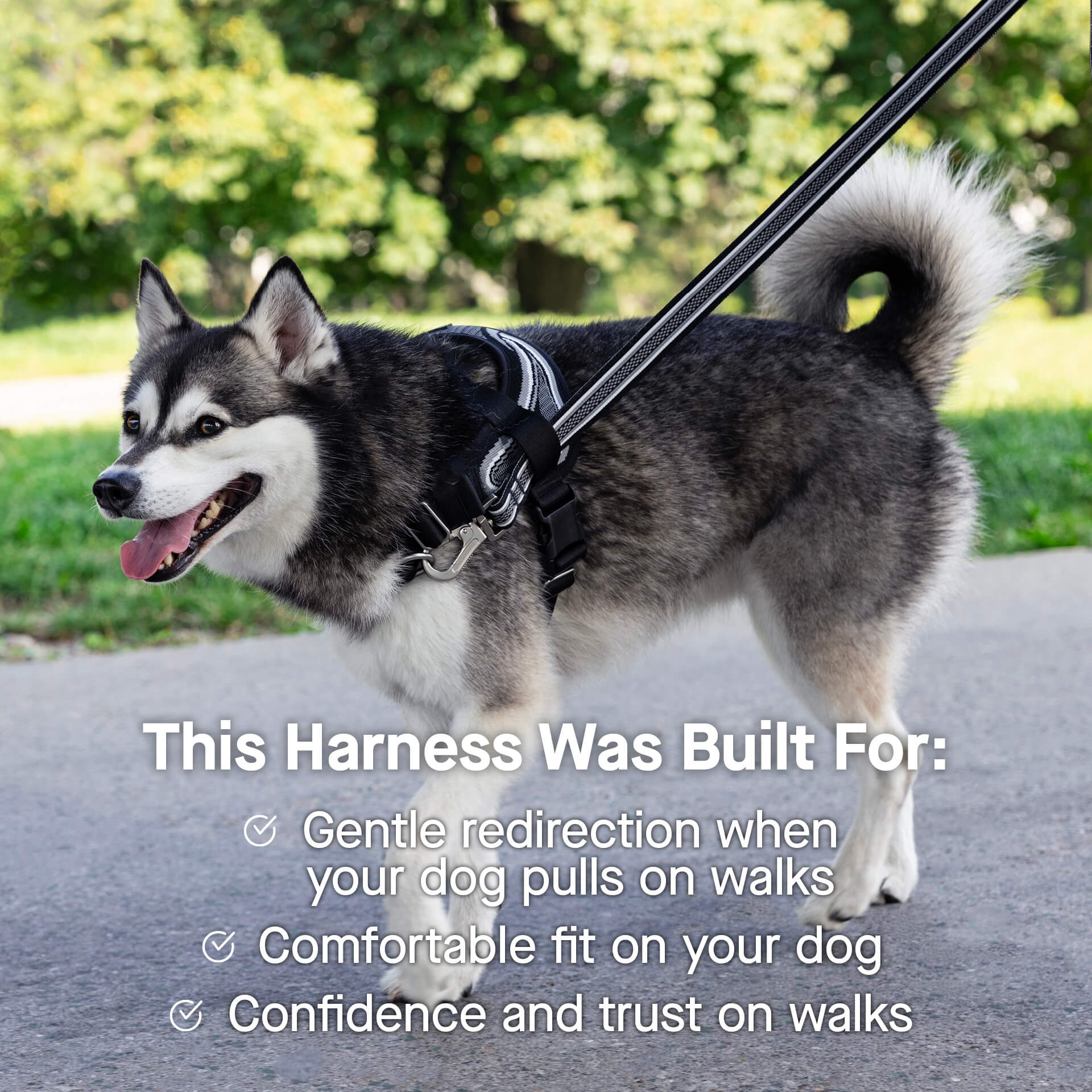 Re-Direct Harness