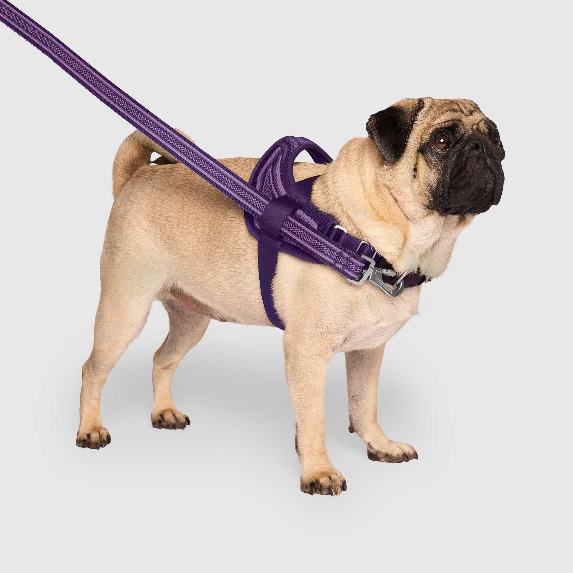 Re-Direct Harness