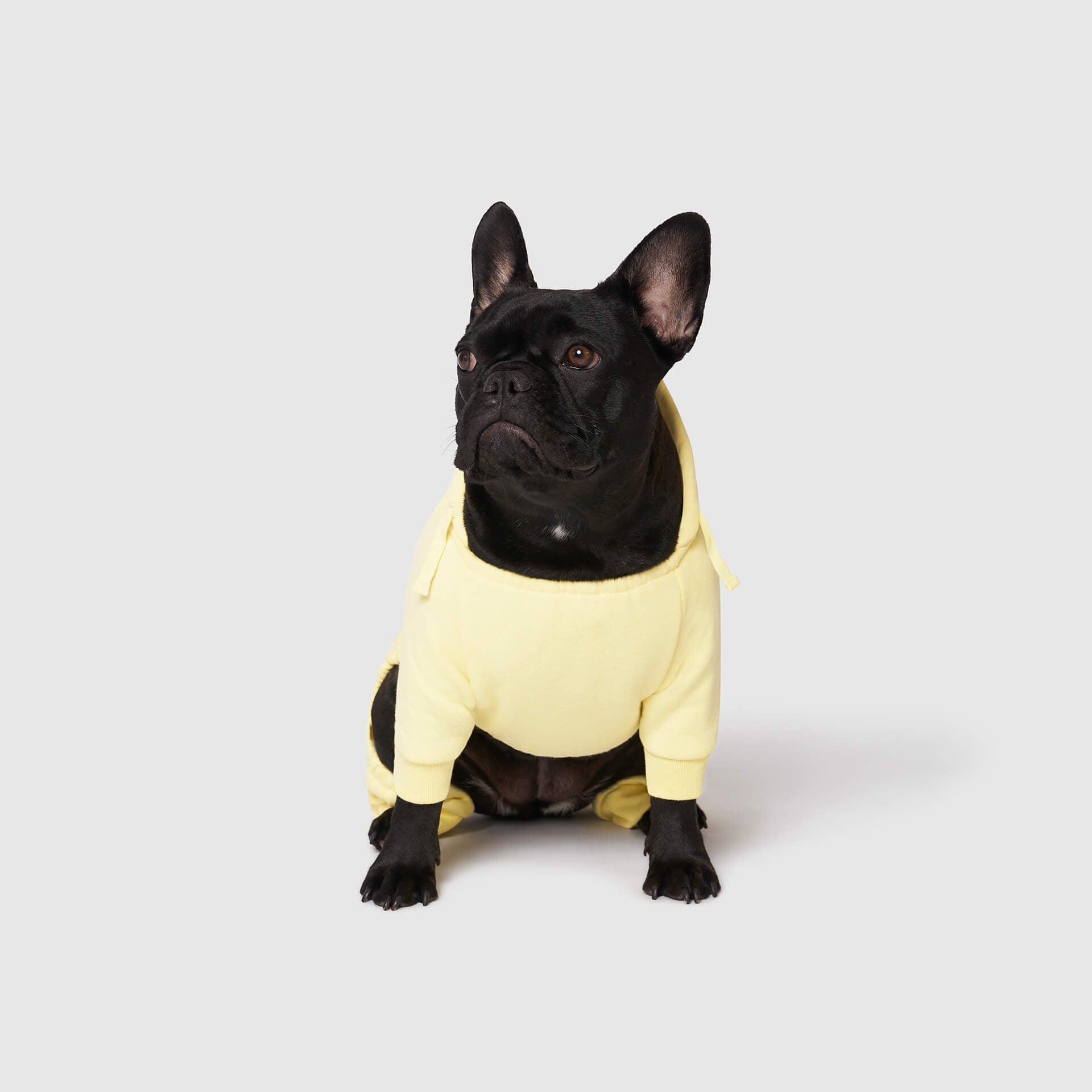Soft Side Sweatsuit