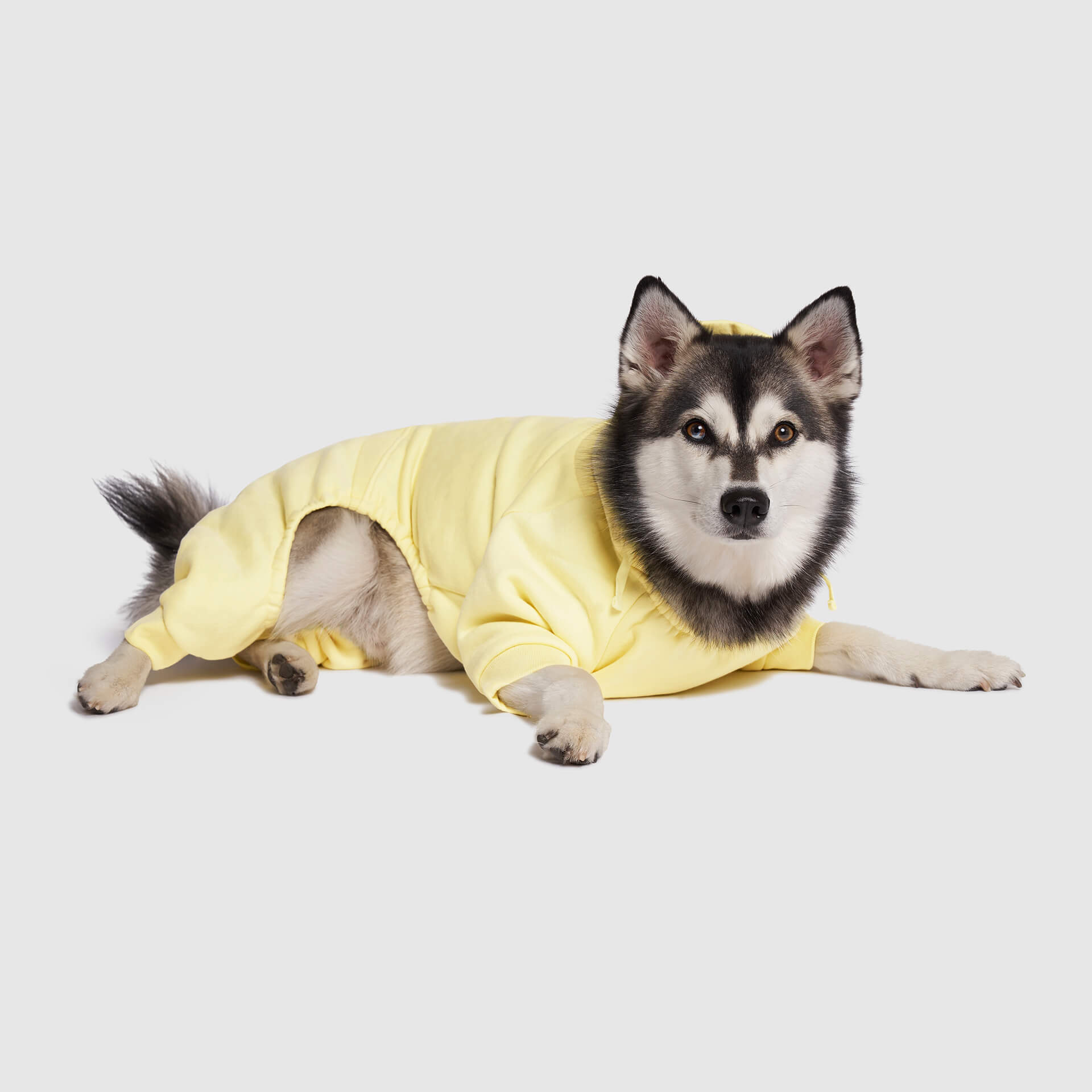 Soft Side Sweatsuit