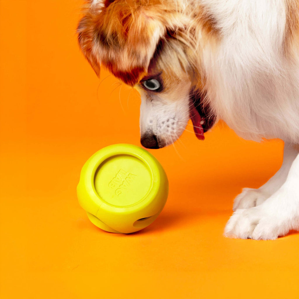 The Boomerang