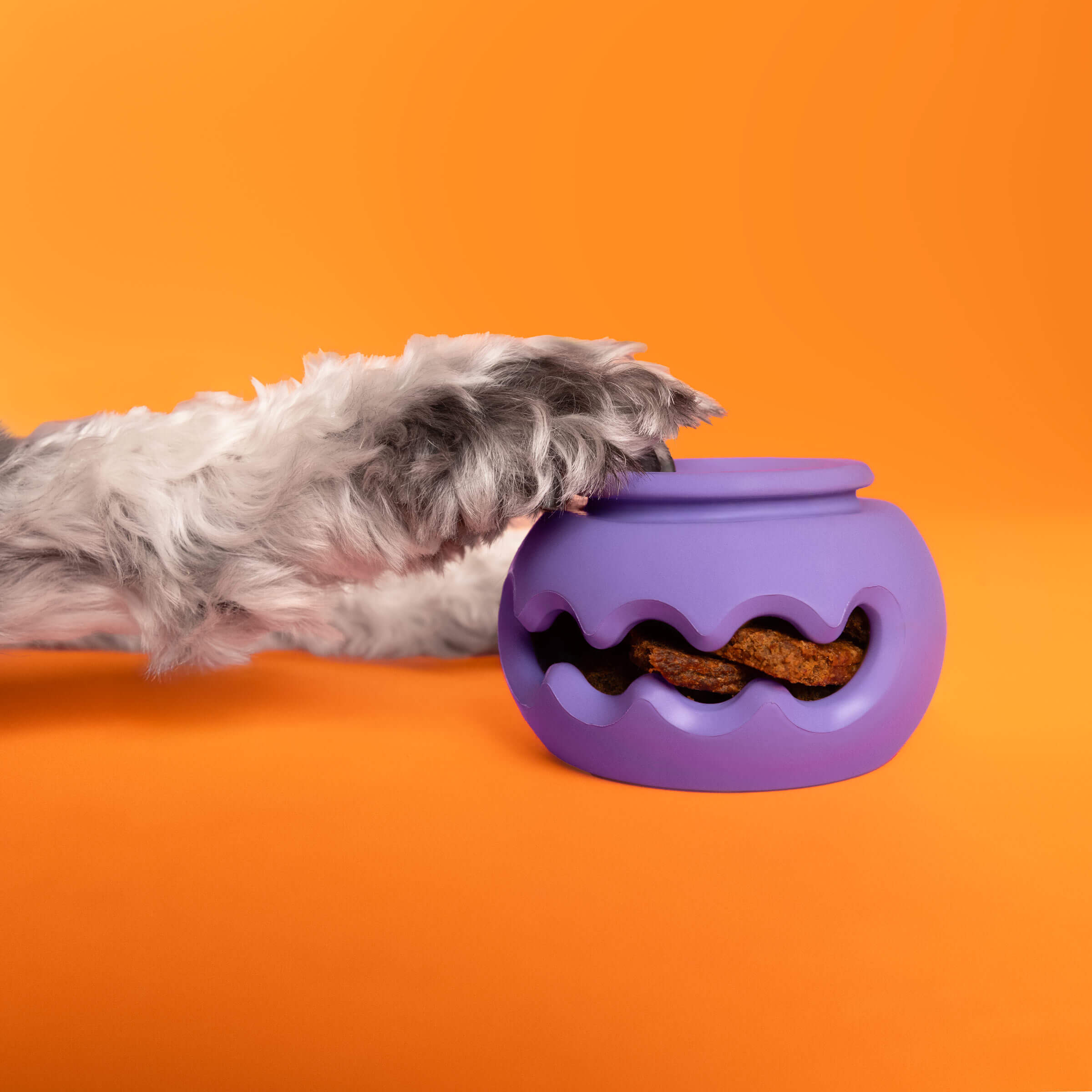 The Squiggle